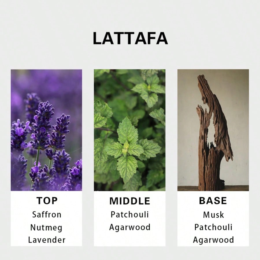 Lattafa Badee Al Oud For Glory - Perfume In Fragrance ulasan dan harga