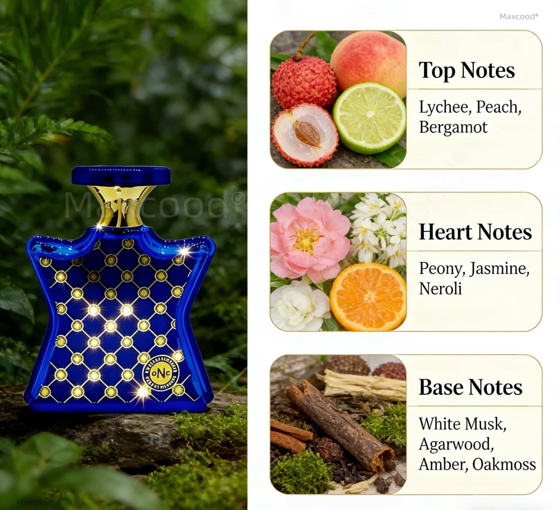 Parfum Jeruk dan Bunga Wangi T - Unique Perfume Fragrance ulasan dan harga