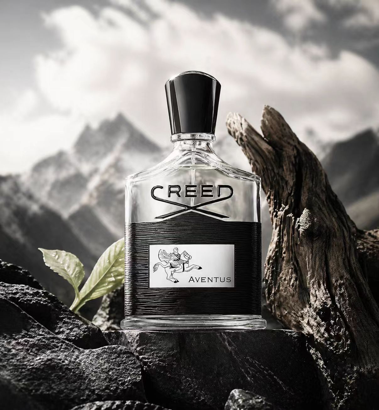 Creed Aventus: Cologne Pria ya - Creed Aventus Dupe ulasan dan harga